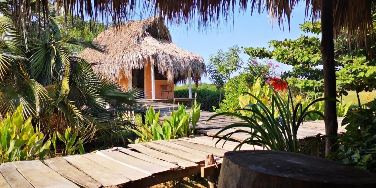 La Mucura San Onofre